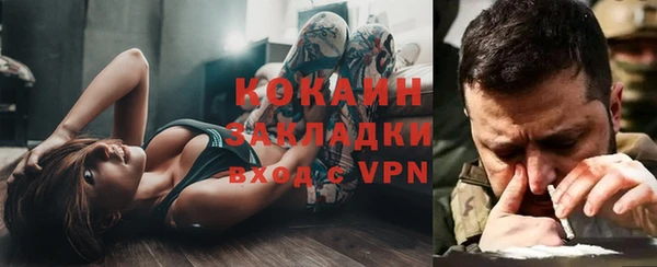 ALPHA PVP Богородицк