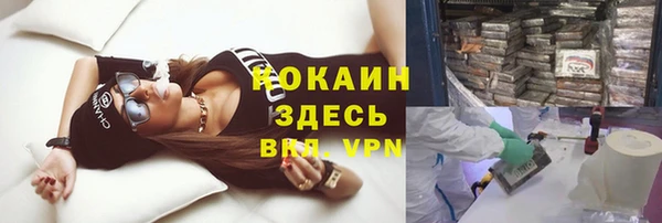дживик Богданович
