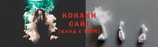 ALPHA PVP Богородицк