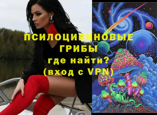 ALPHA PVP Богородицк